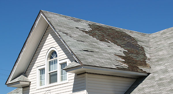 damaged roof shingles