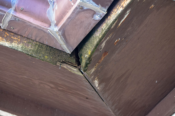 Roof damaged by water—eave flashing