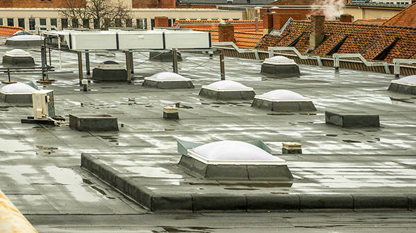 A commercial roof with multiple skylights.